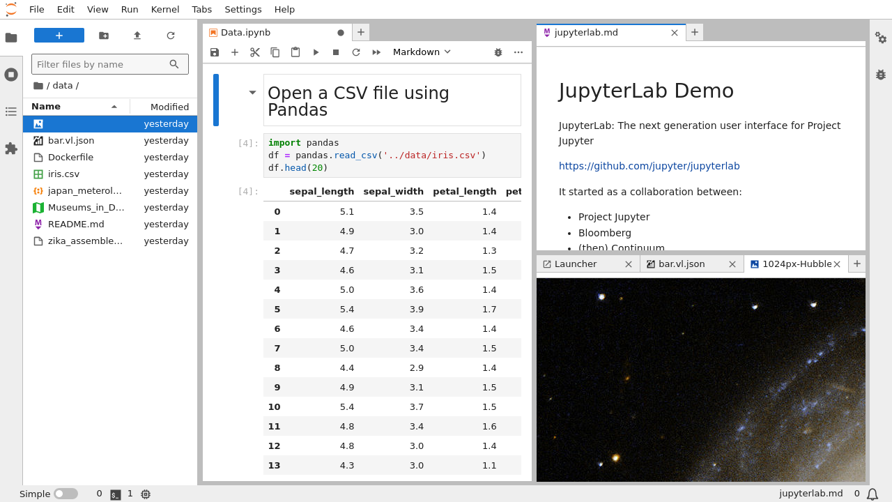 A screenshot of the default JupyterLab interface. The main work area is in the middle. There is also a left sidebar and a top menu bar.