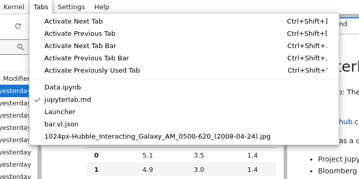 The tabs menu in JupyterLab with a list of sample documents.