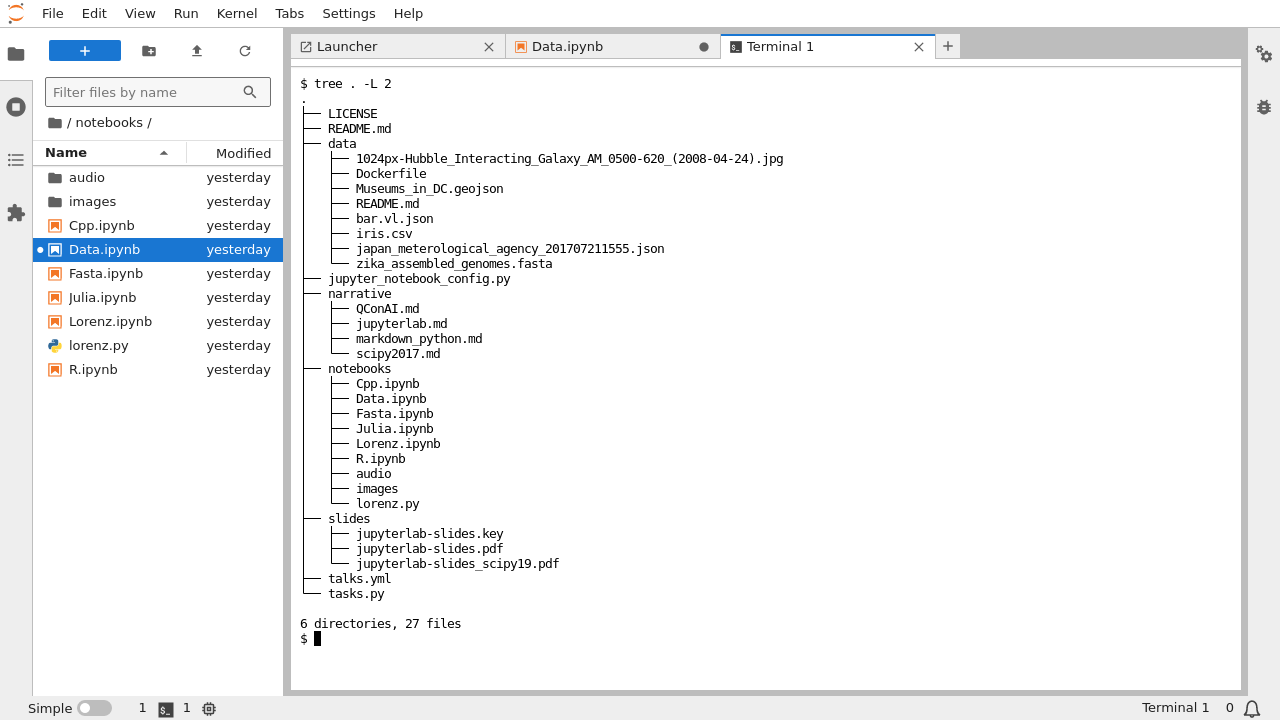 JupyterLab with an open terminal in the main document area.